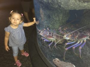 August 2016 Ocean (77)